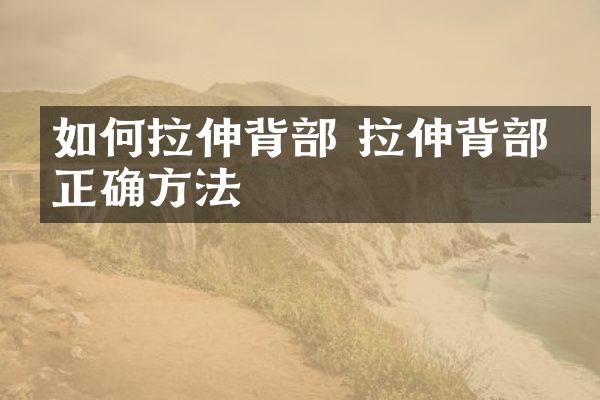 如何拉伸背部 拉伸背部的正确方法