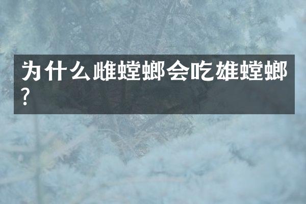为什么雌螳螂会吃雄螳螂?