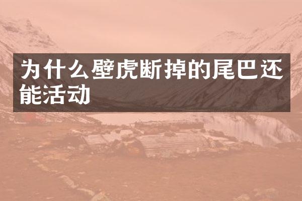 为什么壁虎断掉的尾巴还能活动
