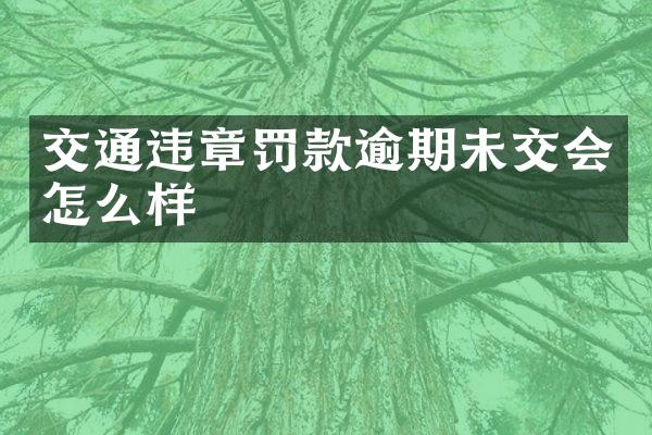 交通违章罚款逾期未交会怎么样
