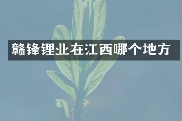 赣锋锂业在江西哪个地方