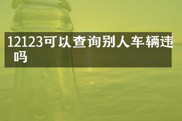 12123可以查询别人车辆违章吗