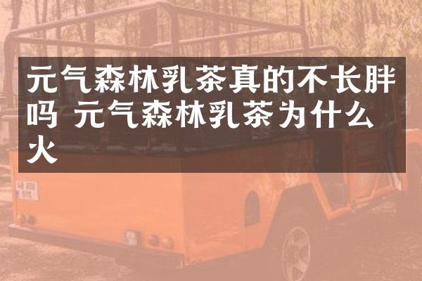 元气森林乳茶真的不长胖吗 元气森林乳茶为什么会火