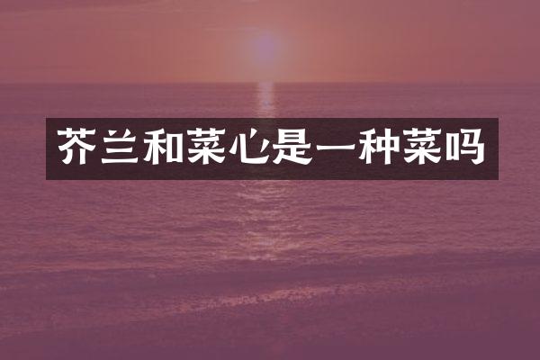 芥兰和菜心是一种菜吗
