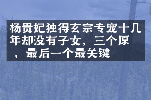 杨贵妃独得玄宗专宠十几年却没有子女，三个原因，最后一个最关键