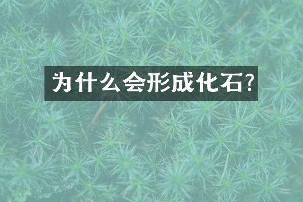为什么会形成化石?