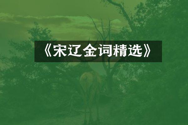 《宋辽金词精选》