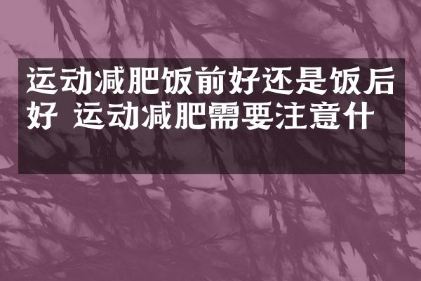 运动减肥饭前好还是饭后好 运动减肥需要注意什么