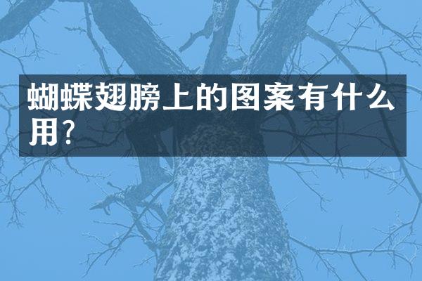 蝴蝶翅膀上的图案有什么用？