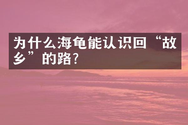 为什么海龟能认识回“故乡”的路？