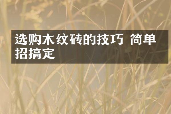 选购木纹砖的技巧 简单六招搞定