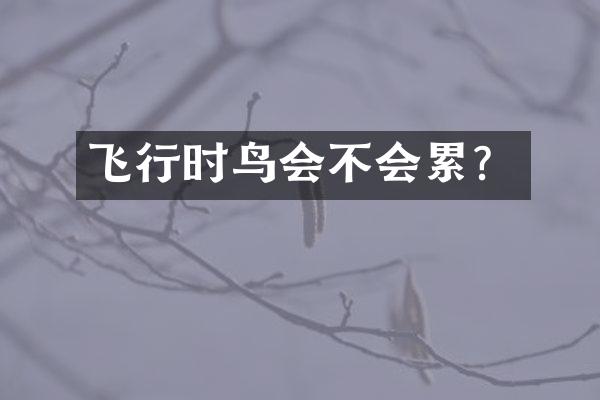 飞行时鸟会不会累？