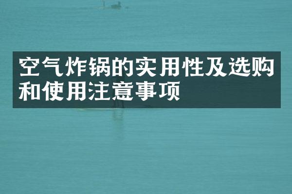 空气炸锅的实用性及选购和使用注意事项