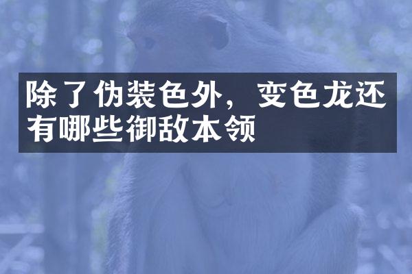 除了伪装色外，变色龙还有哪些御敌本领