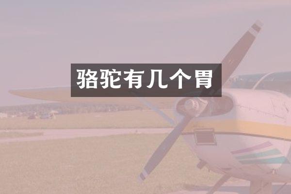 骆驼有几个胃