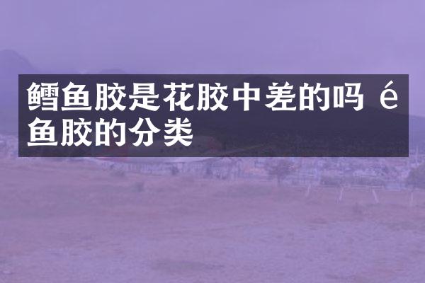 鳕鱼胶是花胶中差的吗 鳕鱼胶的分类