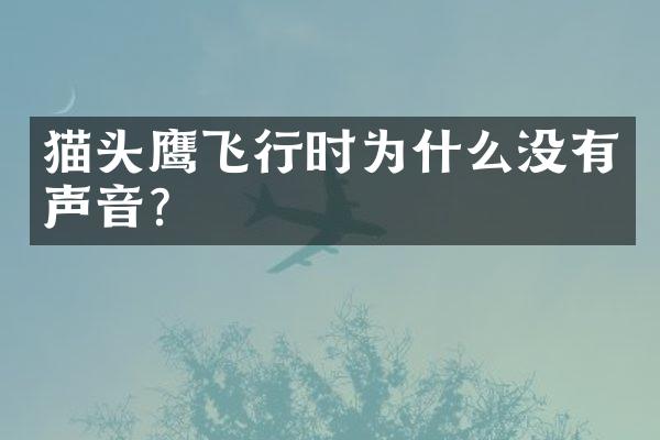 猫头鹰飞行时为什么没有声音?