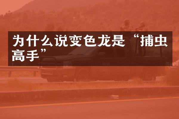 为什么说变色龙是“捕虫高手”
