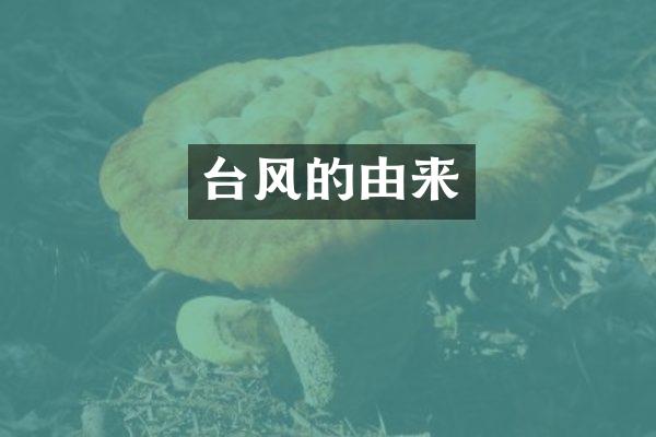 台风的由来