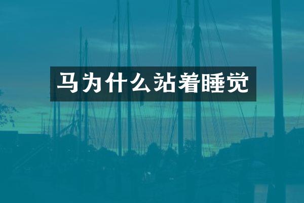 马为什么站着睡觉