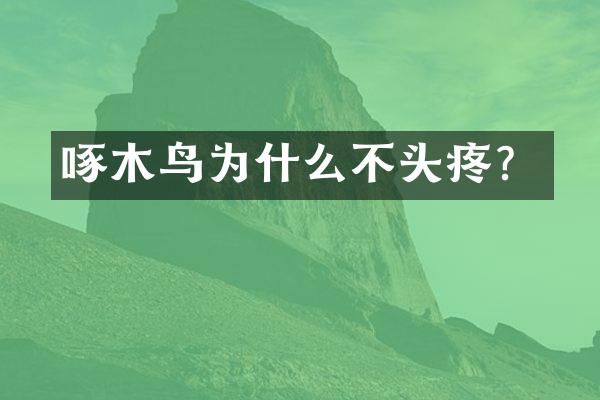 啄木鸟为什么不头疼？