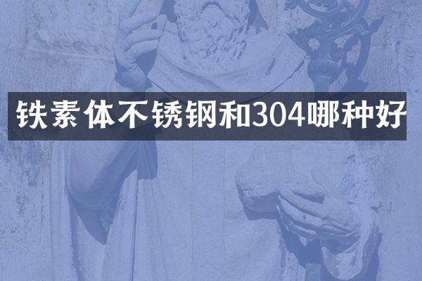 铁素体不锈钢和304哪种好
