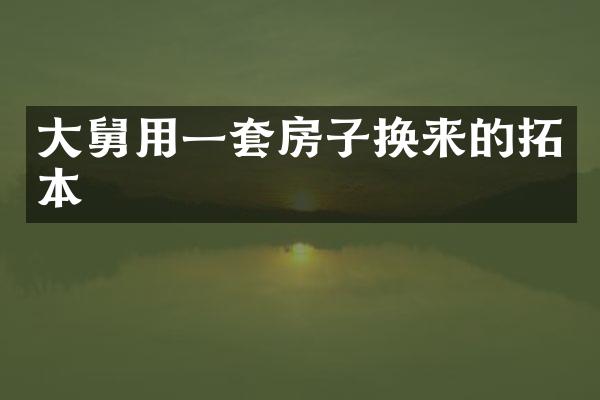 大舅用一套房子换来的拓本