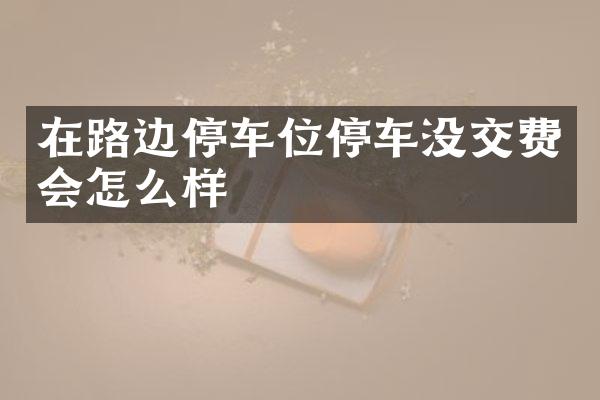 在路边停车位停车没交费会怎么样