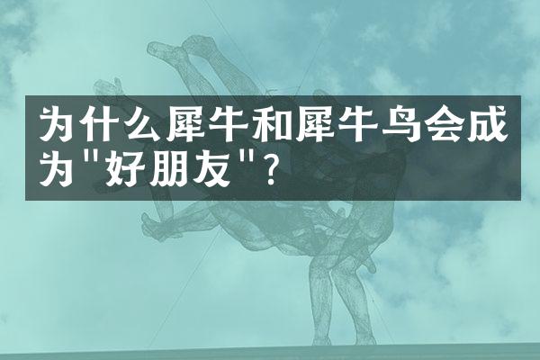 为什么犀牛和犀牛鸟会成为"好朋友"？