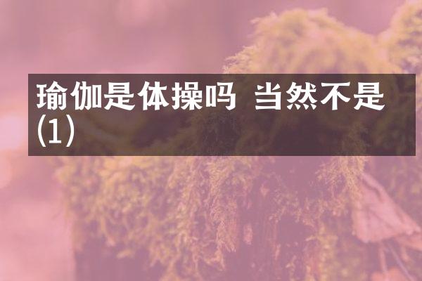 瑜伽是体操吗 当然不是了(1)