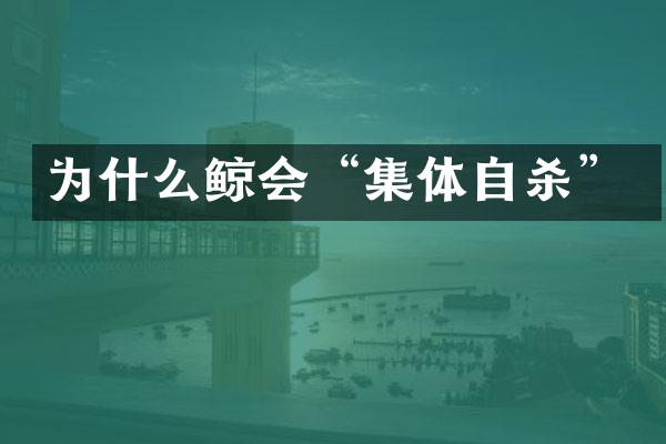 为什么鲸会“集体自杀”