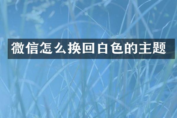 微信怎么换回白色的主题