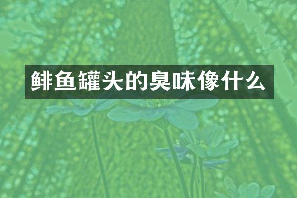 鲱鱼罐头的臭味像什么