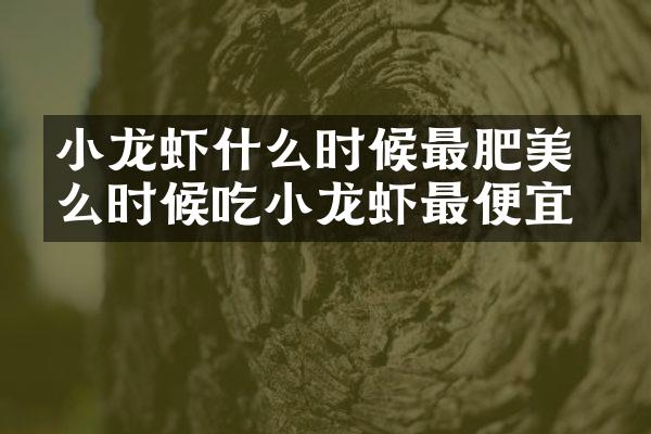 小龙虾什么时候最肥美 什么时候吃小龙虾最便宜
