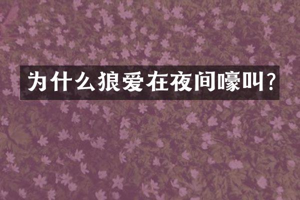 为什么狼爱在夜间嚎叫?