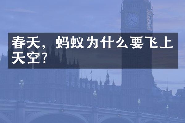 春天，蚂蚁为什么要飞上天空？