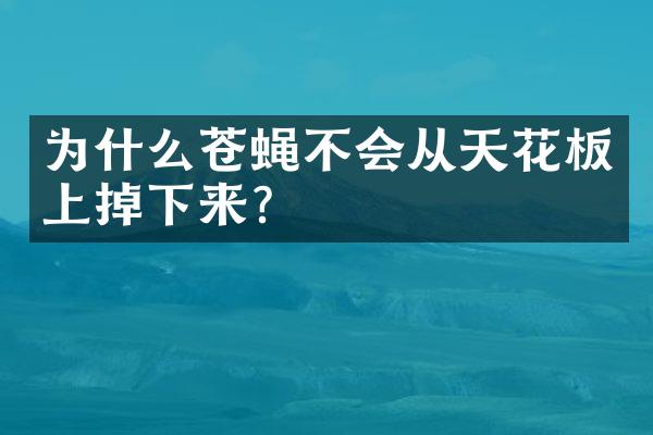 为什么苍蝇不会从天花板上掉下来？