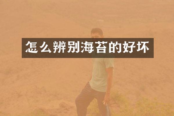 怎么辨别海苔的好坏