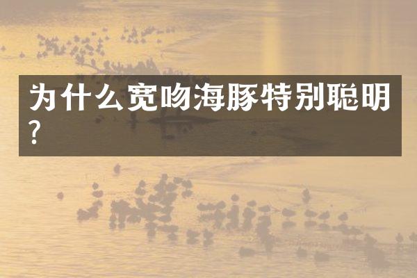 为什么宽吻海豚特别聪明?