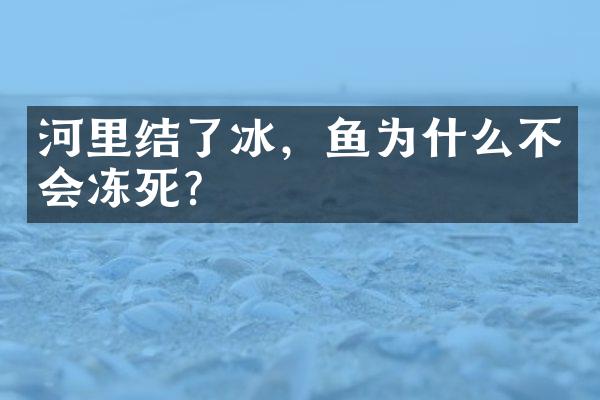 河里结了冰，鱼为什么不会冻死？