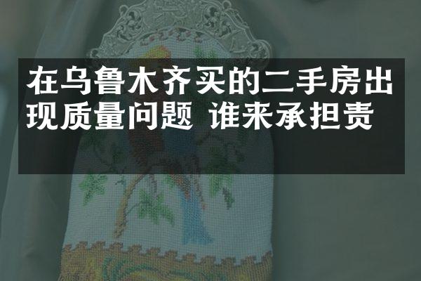 在乌鲁木齐买的二手房出现质量问题 谁来承担责任