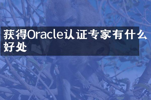 获得Oracle认证专家有什么好处