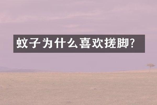 蚊子为什么喜欢搓脚？