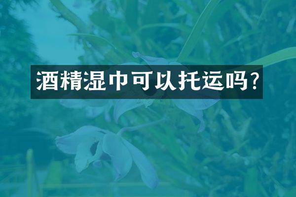 酒精湿巾可以托运吗?