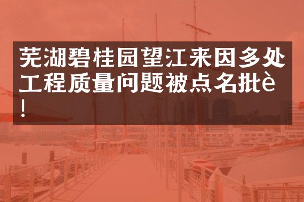 芜湖碧桂园望江来因多处工程质量问题被点名批评!