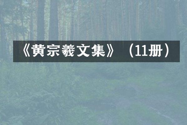 《黄宗羲文集》（11册）