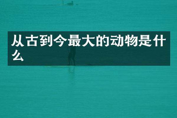 从古到今最大的动物是什么
