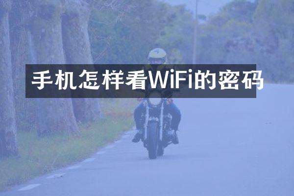 手机怎样看WiFi的密码
