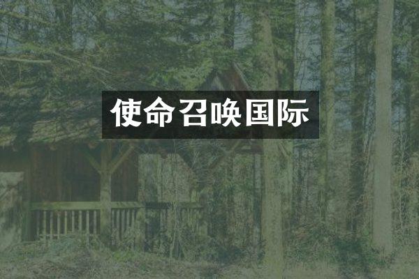 使命召唤国际