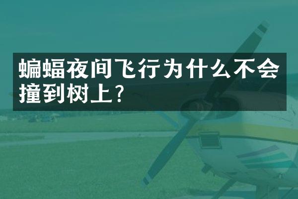 蝙蝠夜间飞行为什么不会撞到树上？